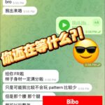 Bibo - Customer review